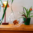 WD LIFESTYLE | PICHET EN VERRE BOROSILICATE HAND MADE DECORATION POISSON ROUGE CONTENANCE : 1,7 L - 22 x 17,5 x 18,5 CM